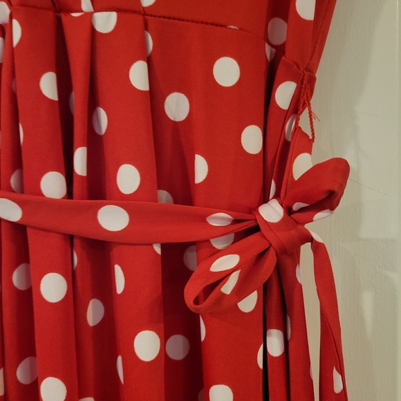 Red & White Polka Dot Dress Size:PXL - Picture 7 of 7